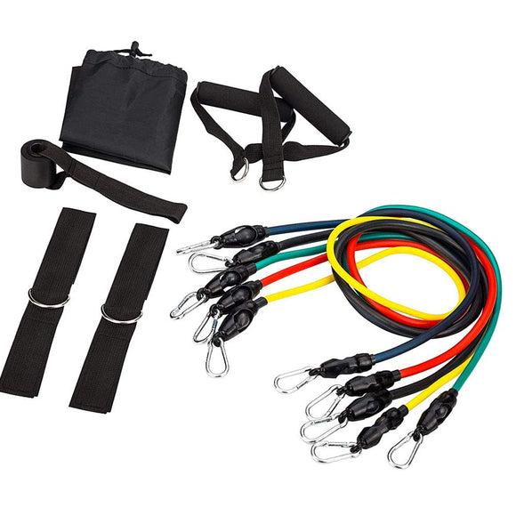 Biotronix Exercise Resistance Tubing Set (11pcs), Exercise Tubings ( 5 pc )  with Door Anchor, Handles, Waterproof Carry Bag, Legs Ankle Straps for Resistance Training, Physical Therapy, Home Workouts