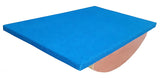 Biotronix Physiotherapy Balance Board Wooden / Equilibium Board used in Occupational Therapy Vestibular therapy