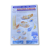 Biotronix Cervical Cum Lumber Traction Therapy Machine Digital Premium Model used in Physiotherapy and Rehabilitation make in India