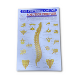 Biotronix Paraffin Waxbath Therapy Small Physiotherapy and Rehabilitation Device Make in India With MCB Circuit  Device Protection