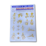 Biotronix Paraffin Waxbath Therapy Medium Physiotherapy and Rehabilitation Device Make in India With MCB Circuit  Device Protection